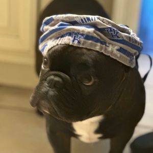 Meet your Posher, Robin